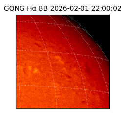gong - 2026-02-01T22:00:02
