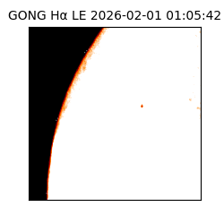 gong - 2026-02-01T01:05:42