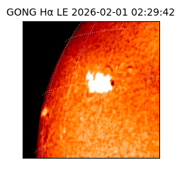gong - 2026-02-01T02:29:42