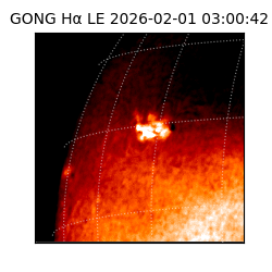 gong - 2026-02-01T03:00:42