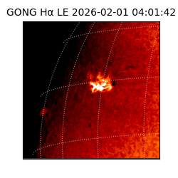gong - 2026-02-01T04:01:42