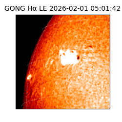 gong - 2026-02-01T05:01:42