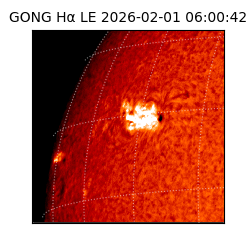 gong - 2026-02-01T06:00:42