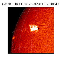 gong - 2026-02-01T07:00:42