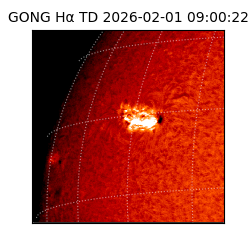 gong - 2026-02-01T09:00:22