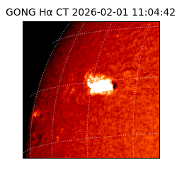 gong - 2026-02-01T11:04:42