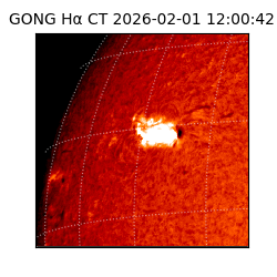 gong - 2026-02-01T12:00:42