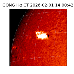 gong - 2026-02-01T14:00:42