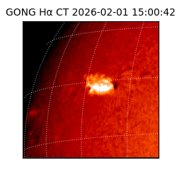 gong - 2026-02-01T15:00:42