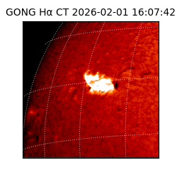 gong - 2026-02-01T16:07:42