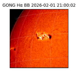 gong - 2026-02-01T21:00:02