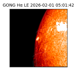gong - 2026-02-01T05:01:42