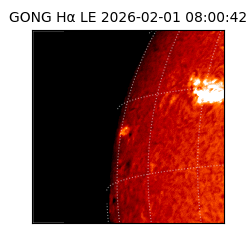 gong - 2026-02-01T08:00:42