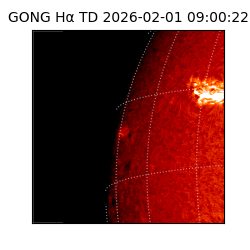 gong - 2026-02-01T09:00:22