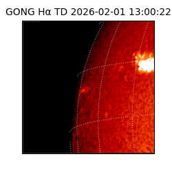 gong - 2026-02-01T13:00:22