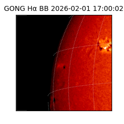 gong - 2026-02-01T17:00:02