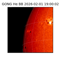 gong - 2026-02-01T19:00:02