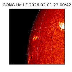 gong - 2026-02-01T23:00:42