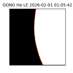 gong - 2026-02-01T01:05:42