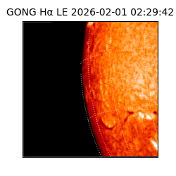 gong - 2026-02-01T02:29:42