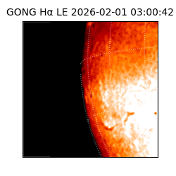 gong - 2026-02-01T03:00:42