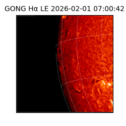gong - 2026-02-01T07:00:42