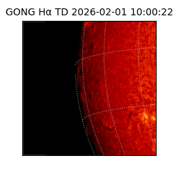 gong - 2026-02-01T10:00:22