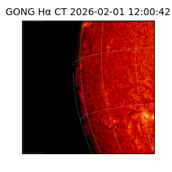 gong - 2026-02-01T12:00:42