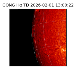 gong - 2026-02-01T13:00:22