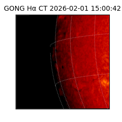 gong - 2026-02-01T15:00:42