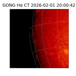 gong - 2026-02-01T20:00:42