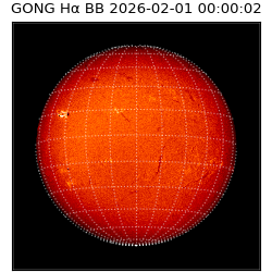 gong - 2026-02-01T00:00:02