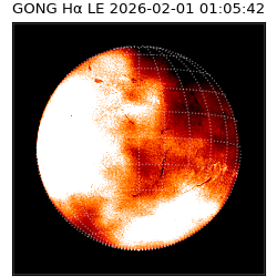 gong - 2026-02-01T01:05:42