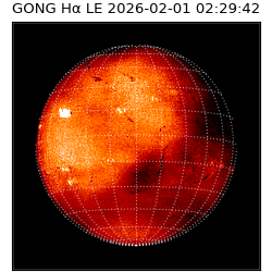 gong - 2026-02-01T02:29:42