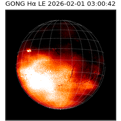 gong - 2026-02-01T03:00:42
