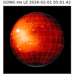 gong - 2026-02-01T05:01:42