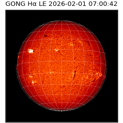 gong - 2026-02-01T07:00:42