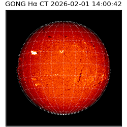 gong - 2026-02-01T14:00:42