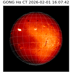gong - 2026-02-01T16:07:42