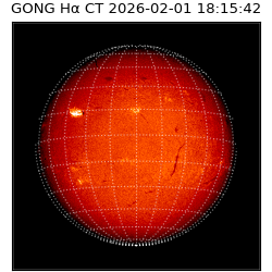 gong - 2026-02-01T18:15:42