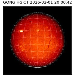 gong - 2026-02-01T20:00:42
