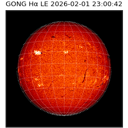gong - 2026-02-01T23:00:42