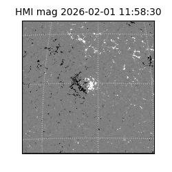 shmi - 2026-02-01T11:58:30.700000