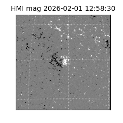 shmi - 2026-02-01T12:58:30.700000