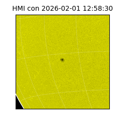 shmi - 2026-02-01T12:58:30.700000