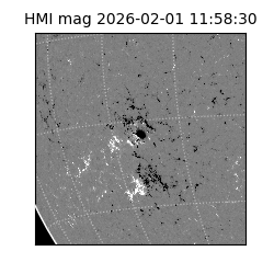 shmi - 2026-02-01T11:58:30.700000