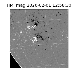 shmi - 2026-02-01T12:58:30.700000