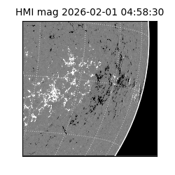 shmi - 2026-02-01T04:58:30.800000