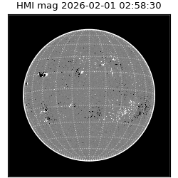 shmi - 2026-02-01T02:58:30.700000