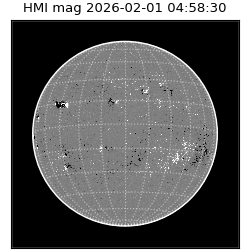 shmi - 2026-02-01T04:58:30.800000